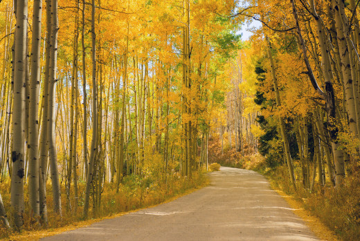 �1756128 �������(a): ����������:2048x1367